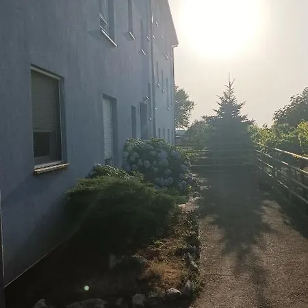 Maya *